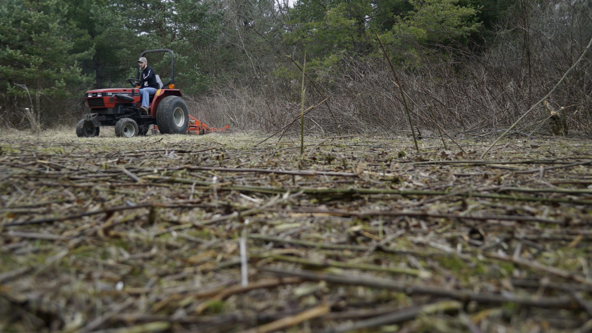 The Only Food Plot You Need To Plant