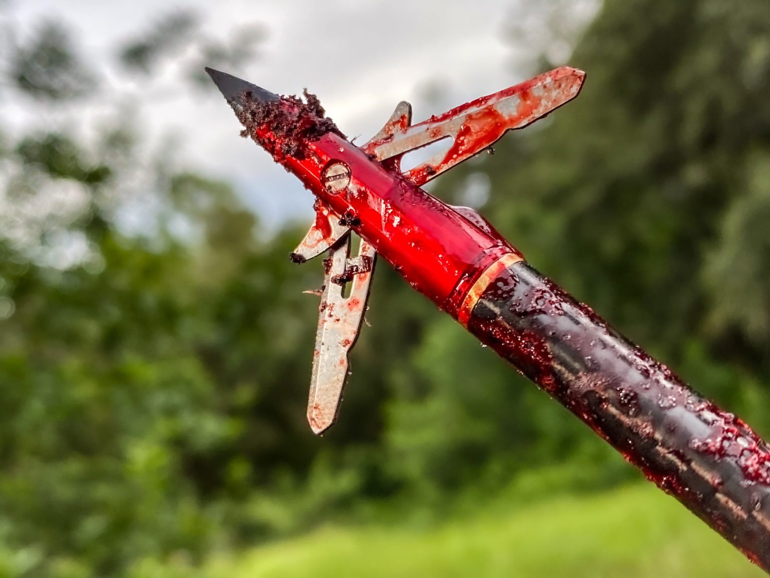 The Best Crossbow Broadhead for Turkey Hunting TenPoint
