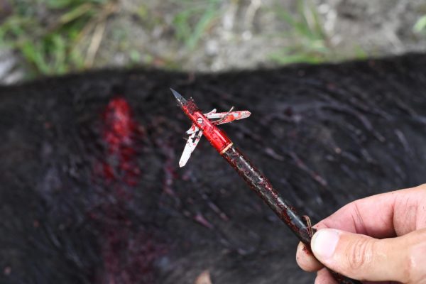 EVO-X CenterPunch Broadhead