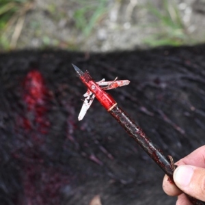 EVO-X CenterPunch Broadhead