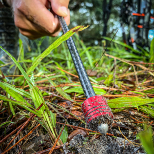 Crossbow Discharge Arrow