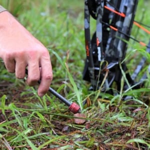 Crossbow Discharge Arrow