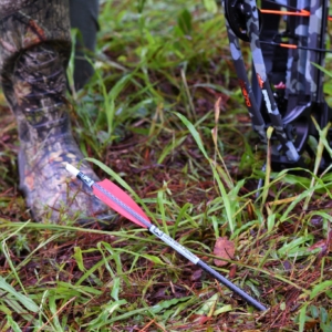 Crossbow Discharge Arrow