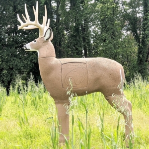 Whitetail Deer 3D Target