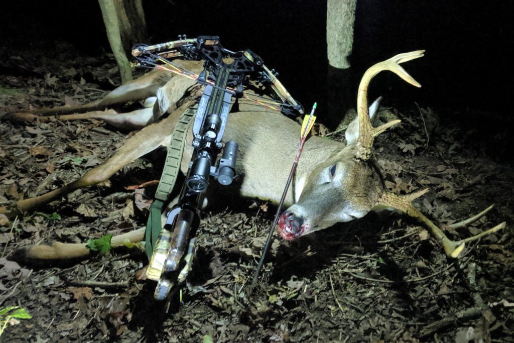 Whiteail Deer Harvest