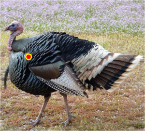 Turkey Broadside