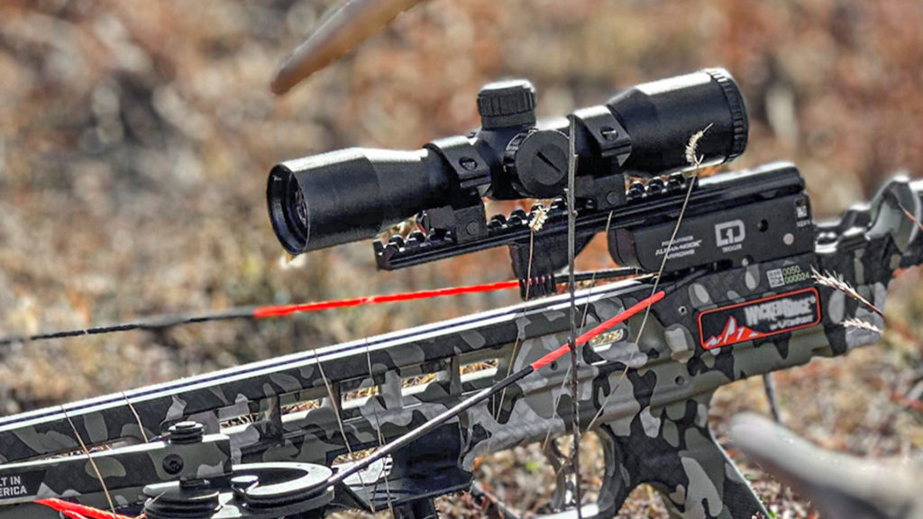 Lighted Scope