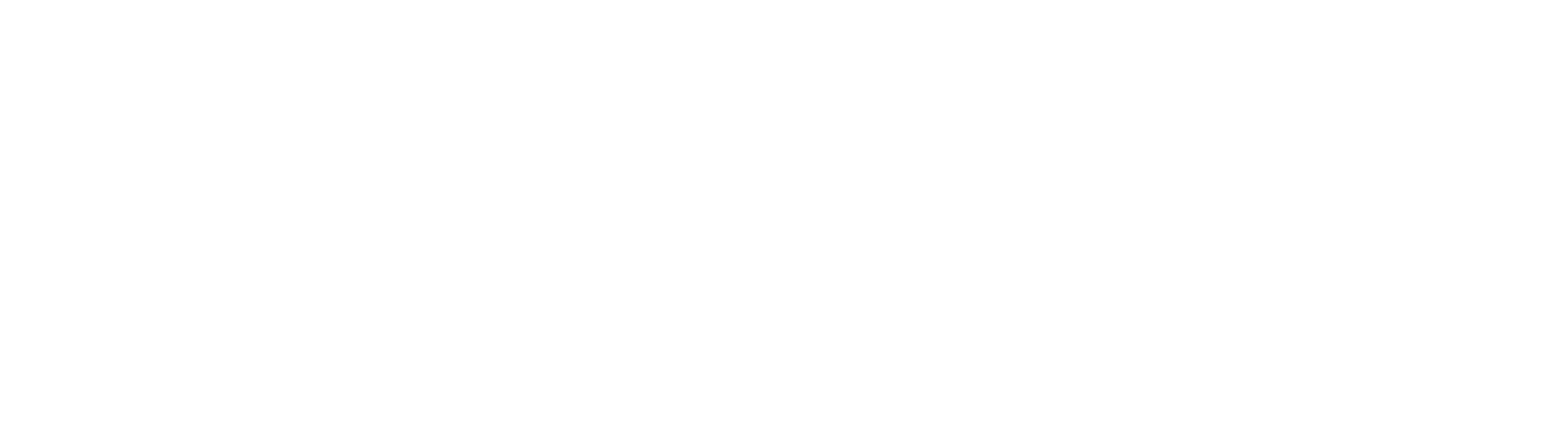 Nitro 505 logo