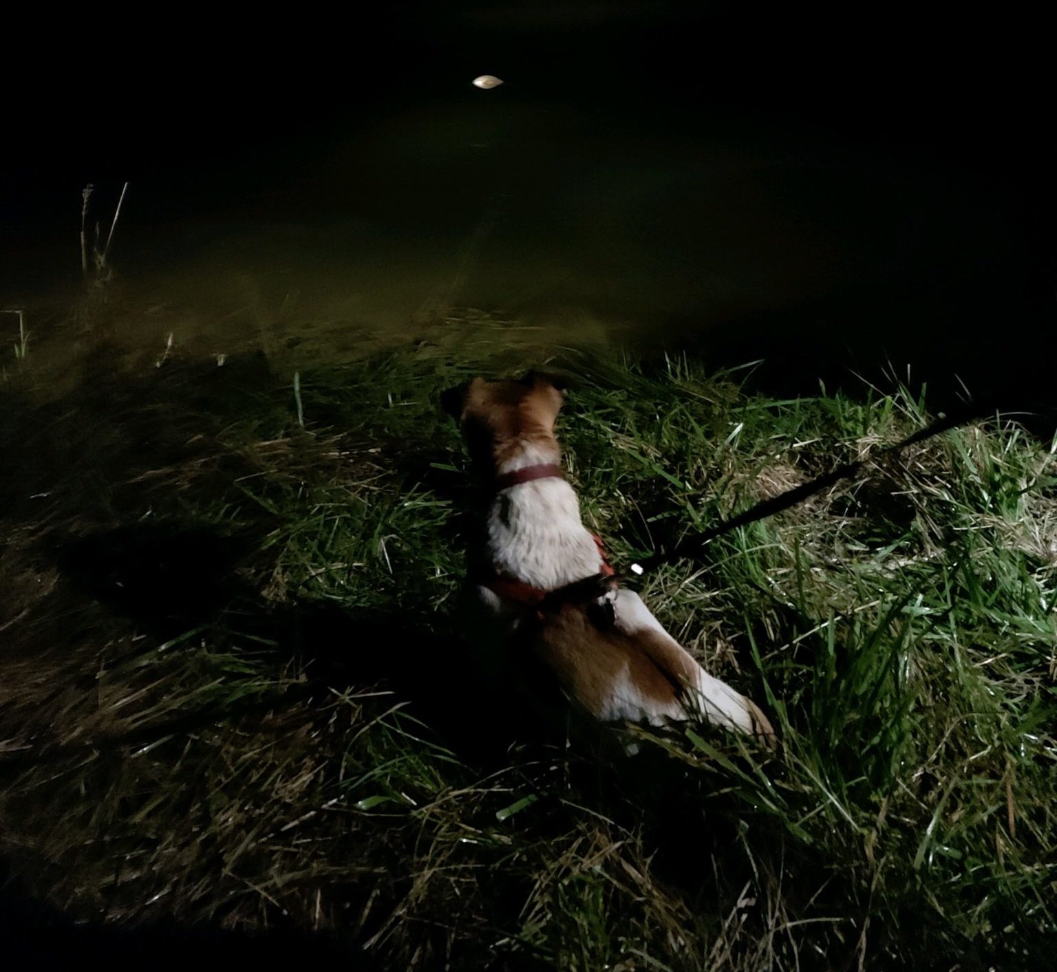 Canoe Recovery Highlights Special Needs Hunt with TenPoint TenPoint