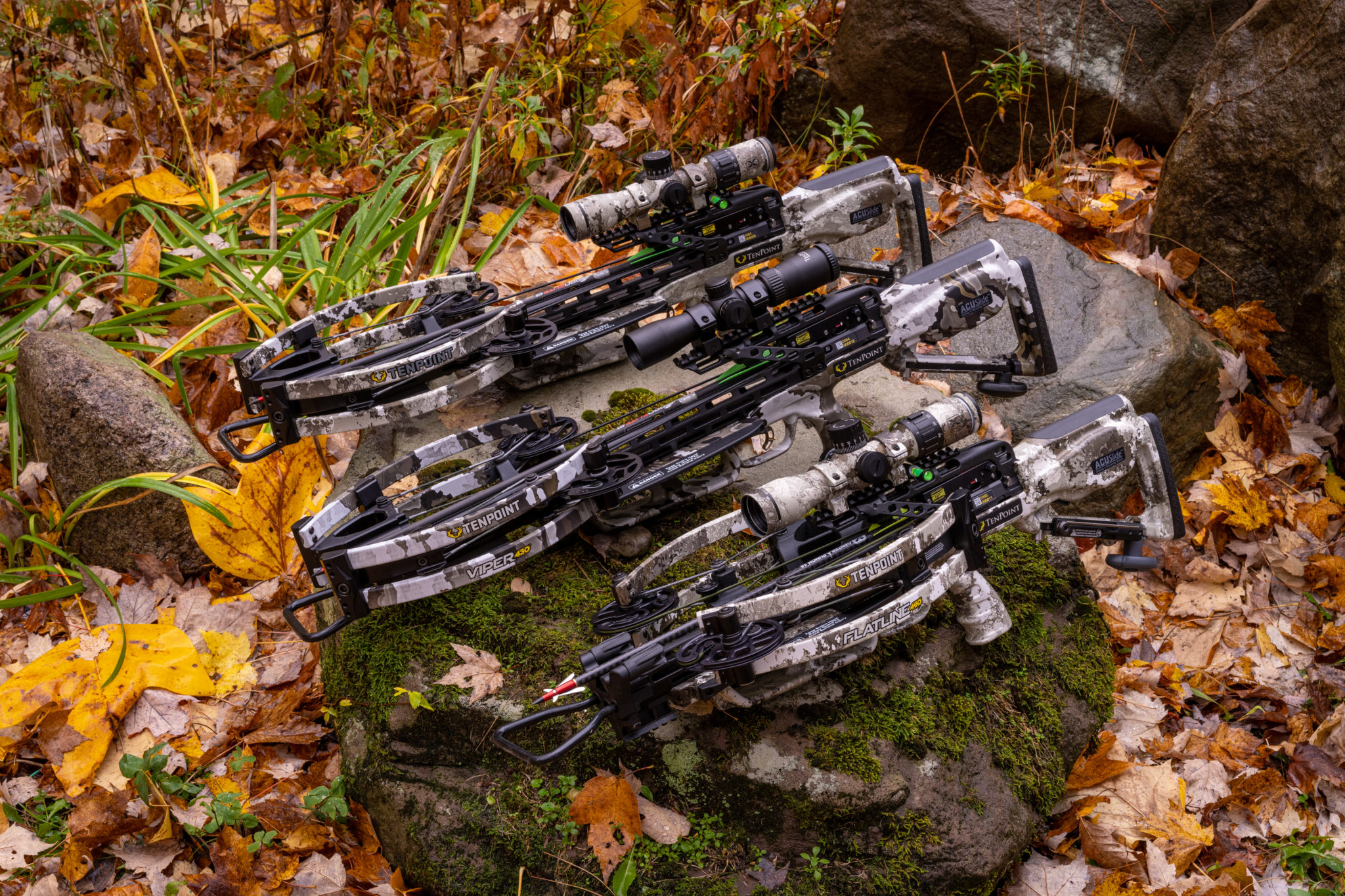 Buy crossbow discount