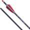 6 TenPoint EVO-X CenterPunch 16 Premium Carbon Crossbow Arrows – Non-Lighted