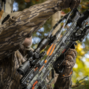 Do Budget Crossbows Deliver?