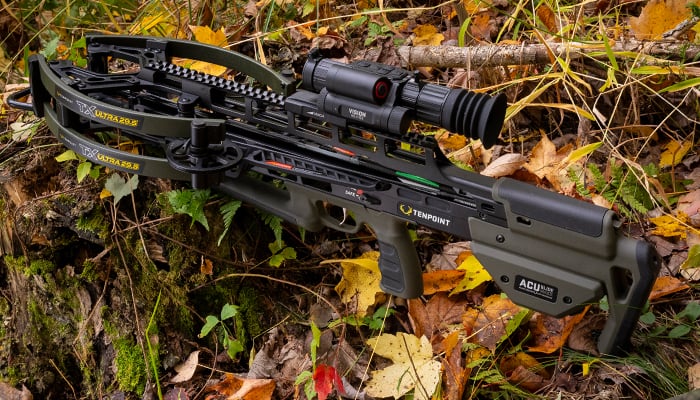 Tx Ultra 29.5 Vision